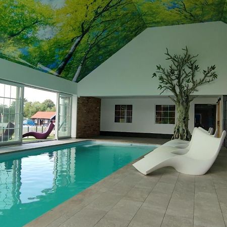 Pensiunea Casa Moga Bucium  ภายนอก รูปภาพ