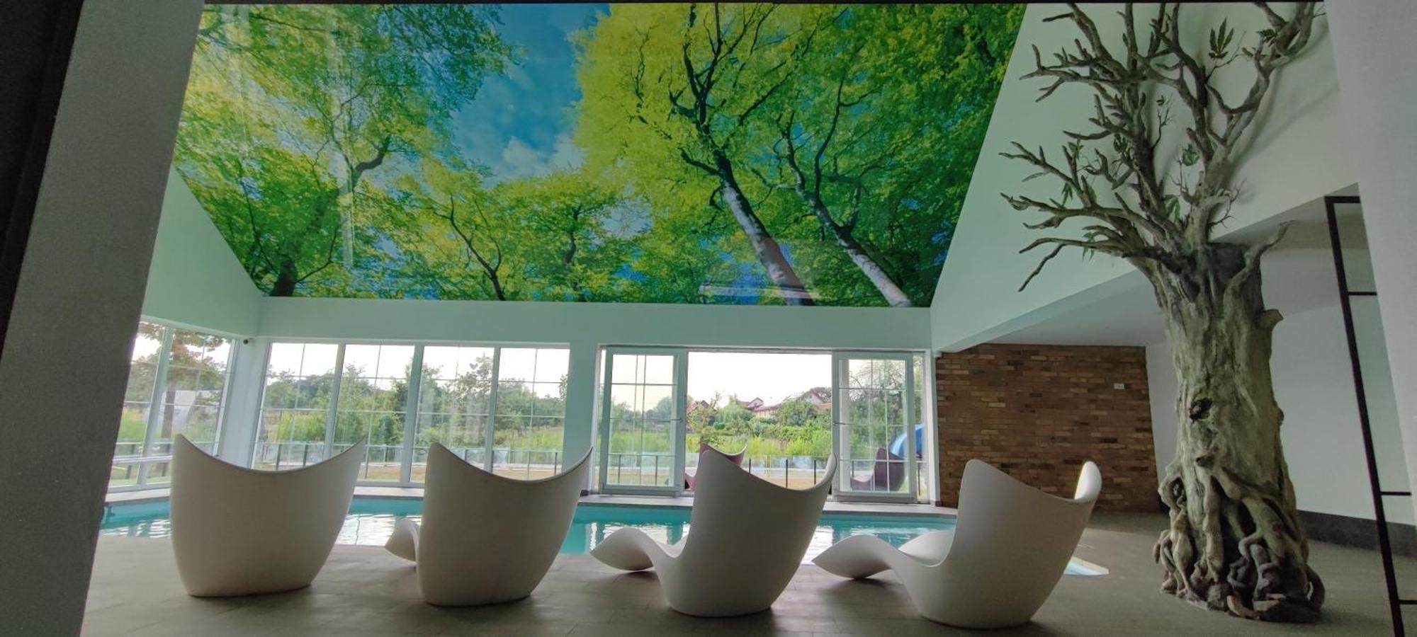 Pensiunea Casa Moga Bucium  ภายนอก รูปภาพ